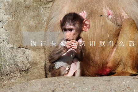 银行卡被司法扣款什么意思 银行卡被司法扣款什么意思