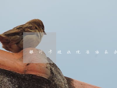 银行卡被法院冻结在办卡 银行卡被法院冻结在办卡