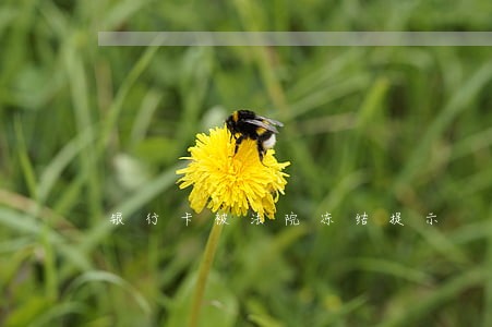 银行卡被法院冻结提示
