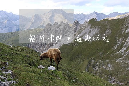 银行卡账户逾期状态 银行卡账户逾期状态