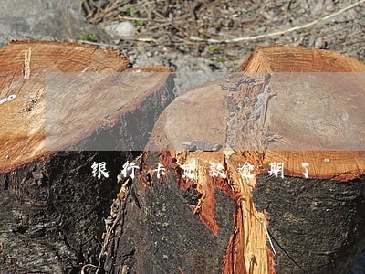 银行卡贷款逾期了 银行卡贷款逾期了
