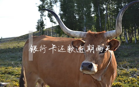 银行卡还款逾期两天 银行卡还款逾期两天