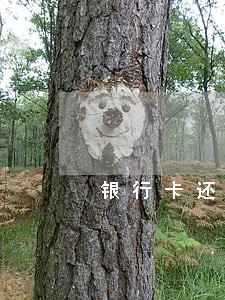 银行卡还款逾期以后会自动扣款吗 银行卡还款逾期以后会自动扣款吗