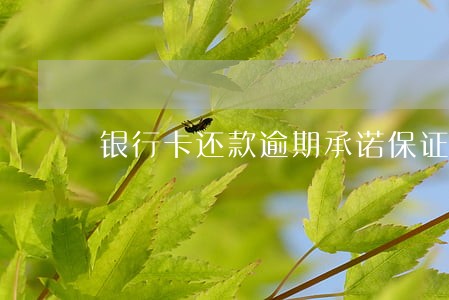银行卡还款逾期承诺保证书 银行卡还款逾期承诺保证书