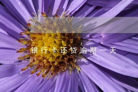 银行卡还贷逾期一天 银行卡还贷逾期一天
