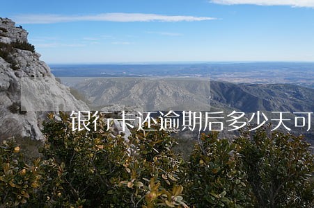 银行卡还逾期后多少天可以套现 银行卡还逾期后多少天可以套现