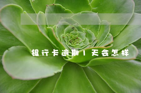 银行卡逾期1天会怎样 银行卡逾期1天会怎样