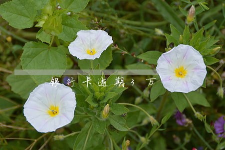 银行卡逾期3万 银行卡逾期3万
