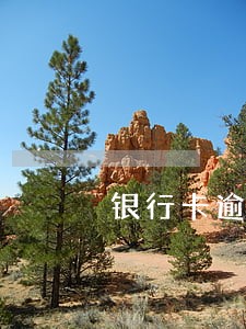 银行卡逾期3万名下有房产 银行卡逾期3万名下有房产