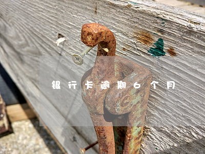 银行卡逾期6个月