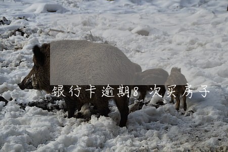 银行卡逾期8次买房子