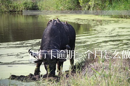银行卡逾期一个月怎么做分期 银行卡逾期一个月怎么做分期