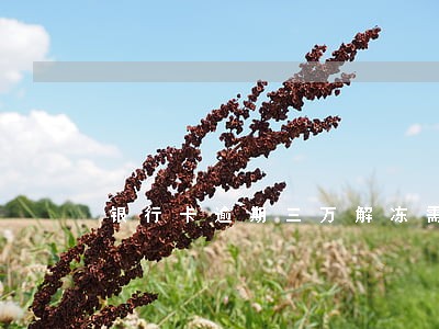 银行卡逾期三万解冻需要几天 银行卡逾期三万解冻需要几天