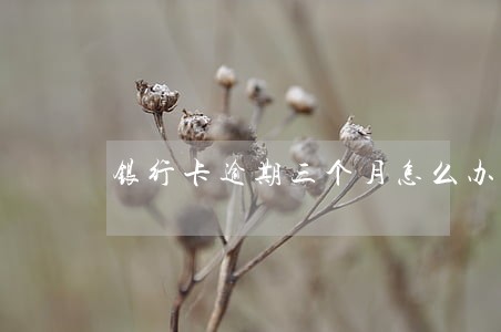 银行卡逾期三个月怎么办
