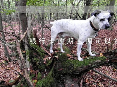银行卡逾期三期可以贷款吗 银行卡逾期三期可以贷款吗
