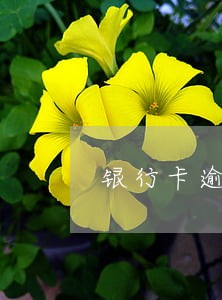 银行卡逾期上门吗