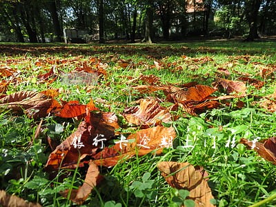 银行卡逾期上门核实 银行卡逾期上门核实