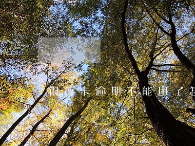 银行卡逾期不能用了怎么办