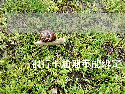 银行卡逾期不能绑定 银行卡逾期不能绑定