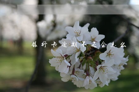 银行卡逾期不还会怎么 银行卡逾期不还会怎么