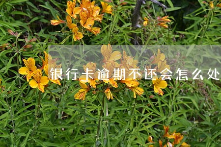 银行卡逾期不还会怎么处理 银行卡逾期不还会怎么处理