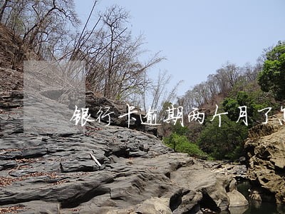 银行卡逾期两个月了怎么办 银行卡逾期两个月了怎么办