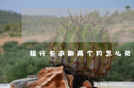 银行卡逾期两个月怎么处理 银行卡逾期两个月怎么处理