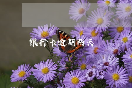 银行卡逾期两天 银行卡逾期两天