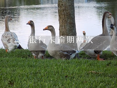 银行卡逾期两次 银行卡逾期两次