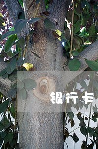 银行卡逾期了征信多久能消除 银行卡逾期了征信多久能消除