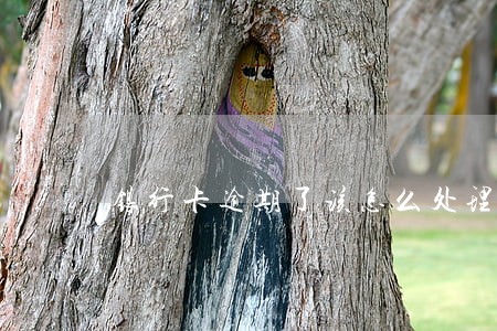 银行卡逾期了该怎么处理 银行卡逾期了该怎么处理