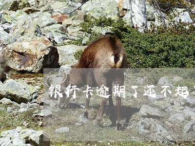 银行卡逾期了还不起了 银行卡逾期了还不起了