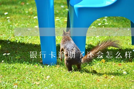 银行卡逾期了还会怎么样 银行卡逾期了还会怎么样