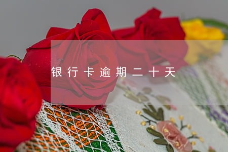 银行卡逾期二十天