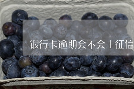 银行卡逾期会不会上征信 银行卡逾期会不会上征信