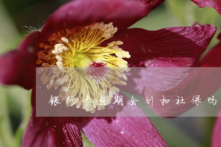 银行卡逾期会划扣社保吗 银行卡逾期会划扣社保吗