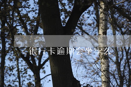 银行卡逾期会坐牢么