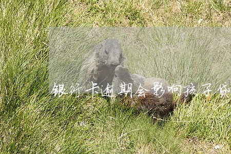银行卡逾期会影响孩子贷款 银行卡逾期会影响孩子贷款