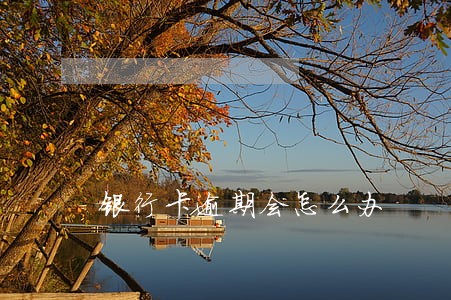 银行卡逾期会怎么办 银行卡逾期会怎么办