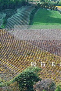 银行卡逾期会怎么处理 银行卡逾期会怎么处理