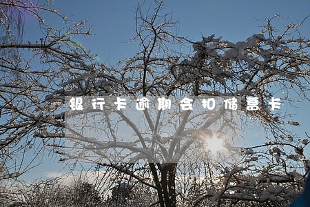 银行卡逾期会扣储蓄卡