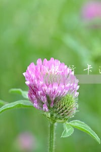 银行卡逾期会没收房产吗 银行卡逾期会没收房产吗