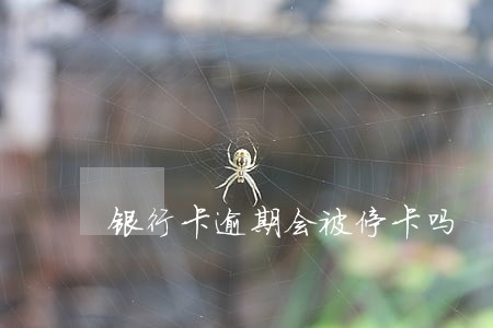 银行卡逾期会被停卡吗 银行卡逾期会被停卡吗