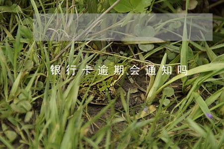 银行卡逾期会通知吗 银行卡逾期会通知吗