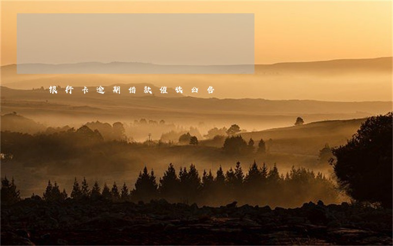 银行卡逾期借款催收公告 银行卡逾期借款催收公告