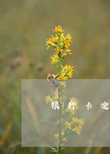 银行卡逾期储蓄卡钱被扣了 银行卡逾期储蓄卡钱被扣了