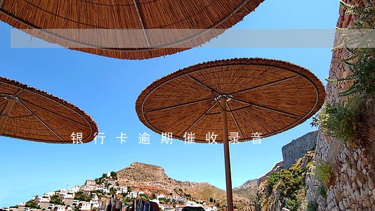 银行卡逾期催收录音 银行卡逾期催收录音