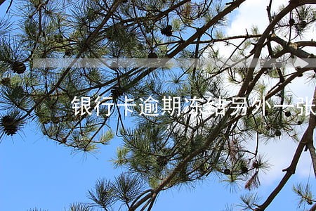 银行卡逾期冻结另外一张卡