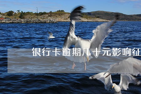 银行卡逾期几十元影响征信 银行卡逾期几十元影响征信
