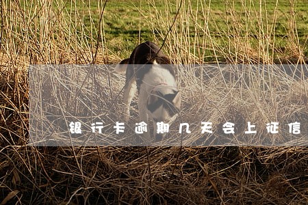 银行卡逾期几天会上征信报告吗 银行卡逾期几天会上征信报告吗